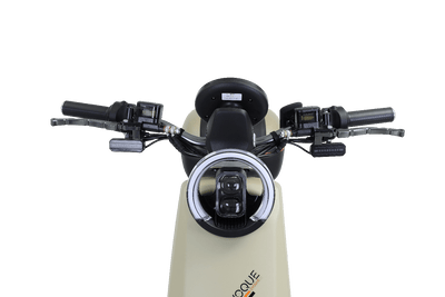 Evoque Stinger Plus | Scooter Style E - BikeBikes